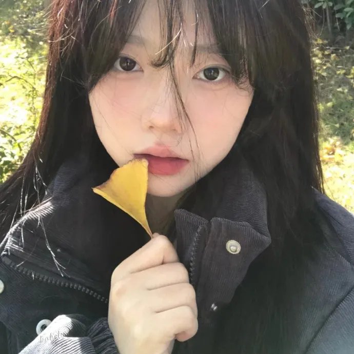 女王的柯基